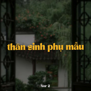 Thân Sinh Phụ Mẫu Ver 2 (Lofi) - Beat