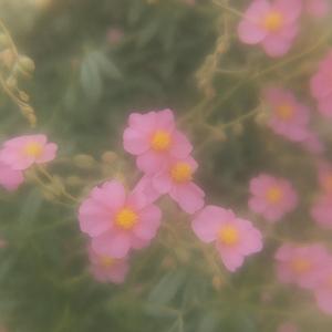 nem érdekel (feat. bit2high)