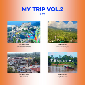 Nausea and Vomit (Instrumental)