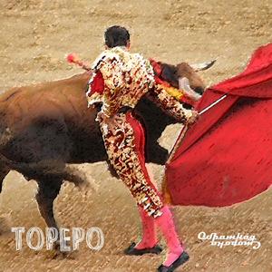 Torero