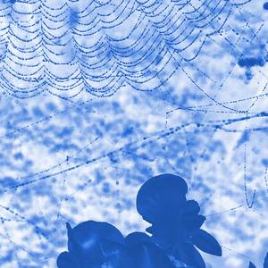 Don't Haunt This Place