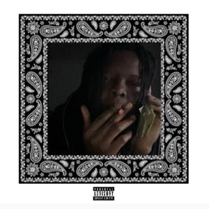 paper planes