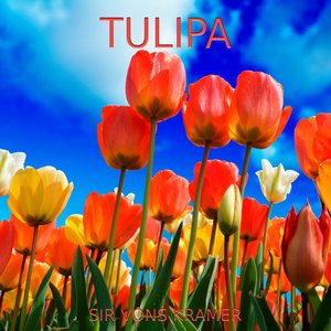 Tulipa