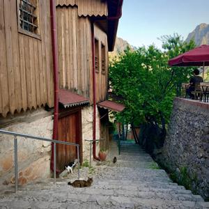 Kısa Bir Ömür