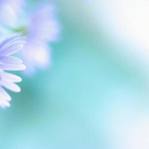 さよならのララバイ