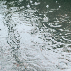 雨が降ったら