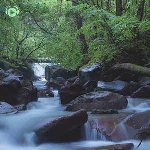 水の景色 (feat. The Illuminati)