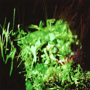 EARTH DREAM