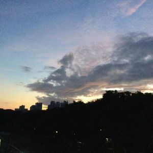 新月色朦胧梦幻的