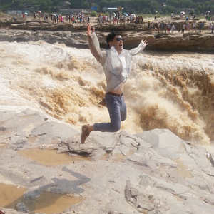 如春作品《蒲公英》