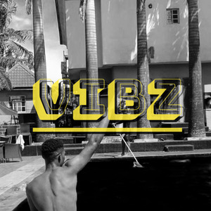 Vibz