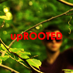 Irises (feat. Rachel Mickelson)