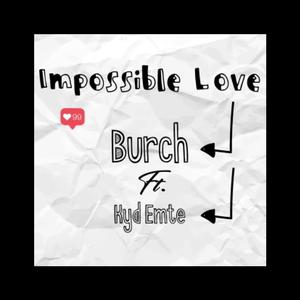 Impossible Love (feat. Kyd Emte) (Radio Edit)