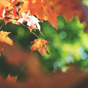 一尘不染烹饪印象数