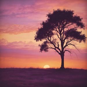 Bayangmu di Langit Senja by @wryethnomusicologist2528