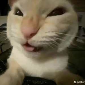 Elizabeth Taylor (slowed)