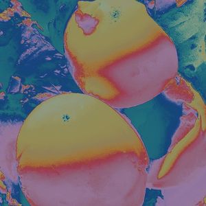 The last sound of the 21st century1