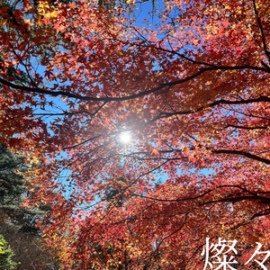 ネイビーブルー (2025ver.)