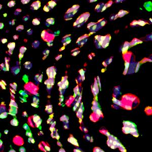 fourteen minutes and twenty five seconds of thursday the seventh of april twenty twenty two...