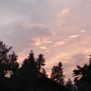 我们打着光脚在风车下跑 手里的狗尾巴草不停的摇啊摇