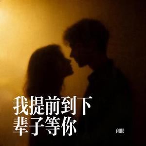 我提前到下辈子等你