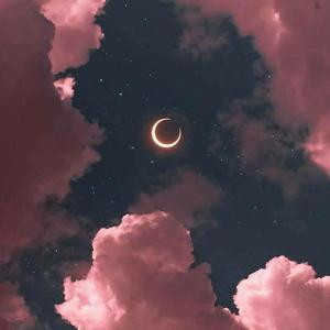 I really need you（Prod By August Wu）