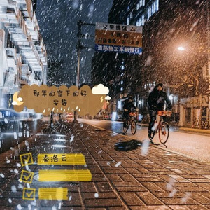 那年的雪下得好安静