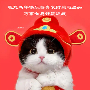 祝您新年快乐恭喜发财鸿运当头万事如意好运连连 (兔牙妹U演唱版)