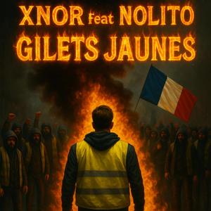 gilets jaunes