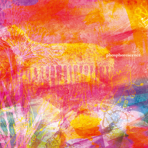 星屑のパレート