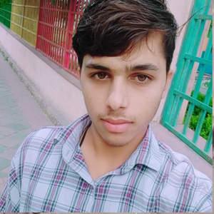 धारासिंग टाईगर लव स्टोरी सोंग