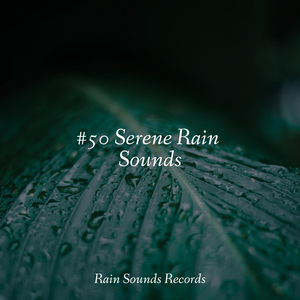 Wistful Waterside Dreams