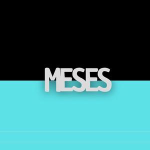 meses