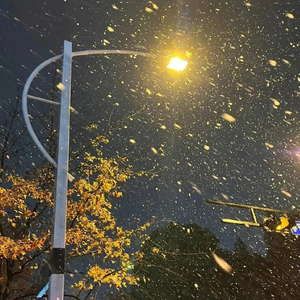 刻在我心底的名字