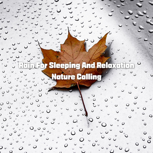 회복을 위한 빗소리