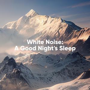 Driving on the Motorway at Night with the Windows Down