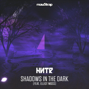 Shadows in the Dark (feat. Elliot Moss)