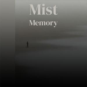 Mist Memory