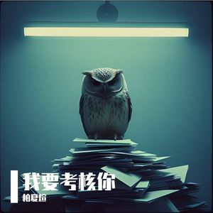 我要考核你