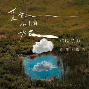 重生之小小的一片云 (DJ立仔版)