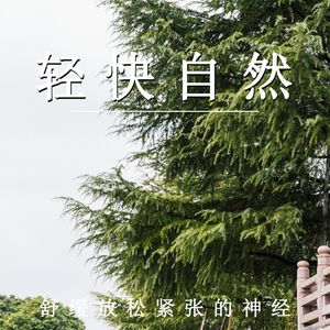 减压抚平烦恼（轻音乐）