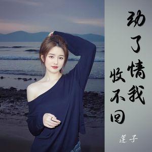 动了情我收不回 (DJ版)