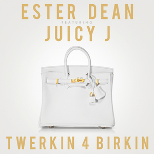 Twerkin 4 Birkin