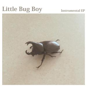 dragonfly (anisoptera)