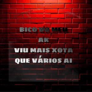 MTG-(BICO DO MEU AK VIU MAIS XOTA QUE VÁRIOS AI)MC YURI,DJ PW DA BS