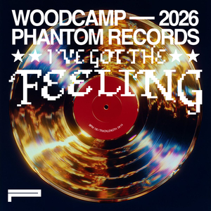 I've Got The Feeling