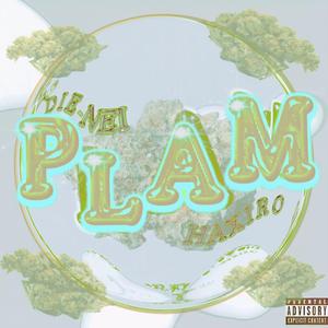 Plam