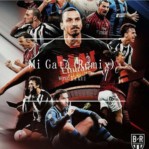 Mi Gata(Remix)