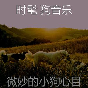 温和可爱的狗梦想