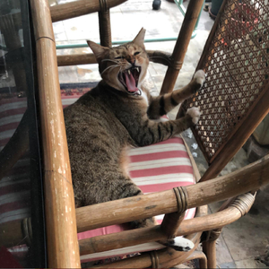 Selamat Hari Raya (Lemang Ku Kaya Raya)